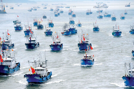 Barcos