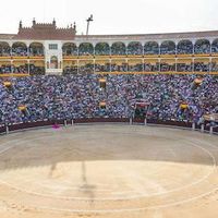 Los privilegios económicos y reestricciones detrás del sector de la tauromaquía 