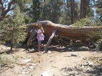 Actividades al aire libre para realizar en familia