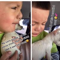 El tierno vídeo viral en el que un niño rompe a llorar desconsoladamente cuando vacunan a su perrito