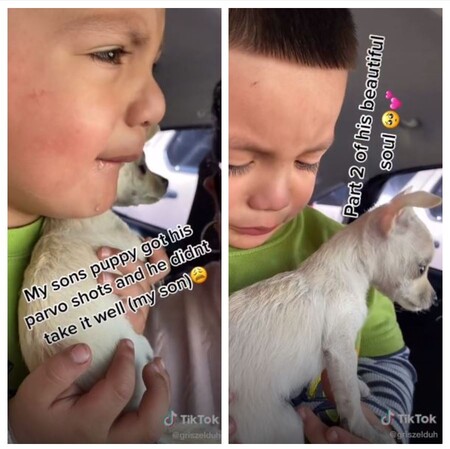 El tierno vídeo viral en el que un niño rompe a llorar desconsoladamente cuando vacunan a su perrito