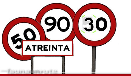 fauna en ruta: límites de velocidad