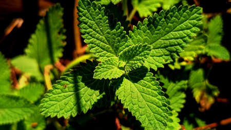 Pexels F 2154796291 34284560