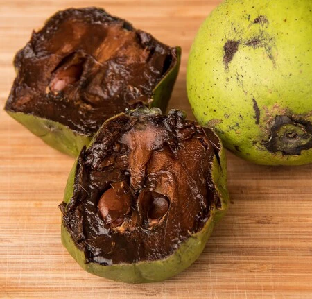 Beneficios del zapote negro y cómo usarlo en la cocina mexicana