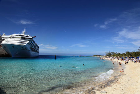 Cruceros y Gripe A