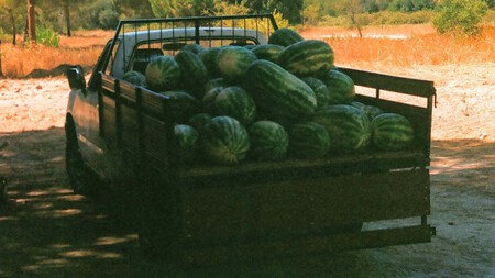 Fruta 2