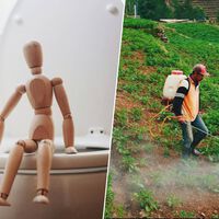 Cada vez que vas al baño estás expulsando uno de los pesticidas más usados en el planeta. Y eso es un problema