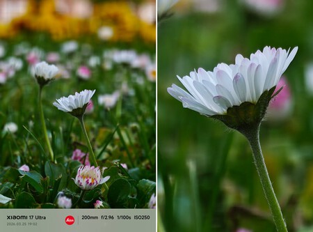 Xiaomi 17 Ultra Flor