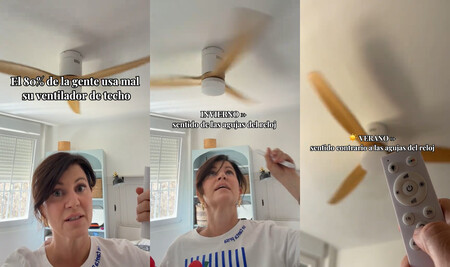 Ventilador