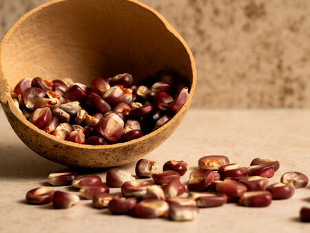 Maiz Bolita Rosa Del Estado De Oaxaca Otro De Los Maices Que Utiliza En Sus Tortillas