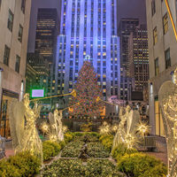 Así es cómo el Rockefeller Center elige su emblemático árbol de Navidad