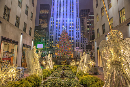 Así es cómo el Rockefeller Center elige su emblemático árbol de Navidad