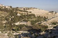 El Monte de los Olivos en Jerusalén (I)
