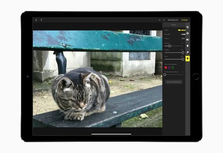 スポットライト