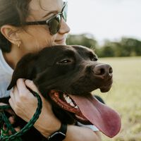 Seu cachorro fica descontrolado toda vez que vê você sair de casa; mas a ciência tem uma solução 