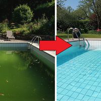 He seguido los consejos de expertos y de la IA para evitar las algas en mi piscina, y este es el truco que mejor me ha funcionado