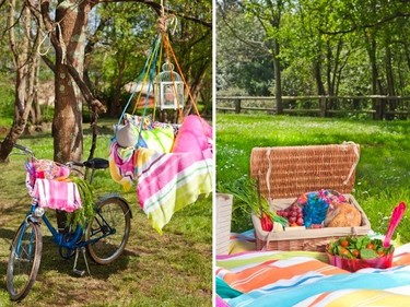 Las bicicletas son para el verano... ¡y para ir de picnic!