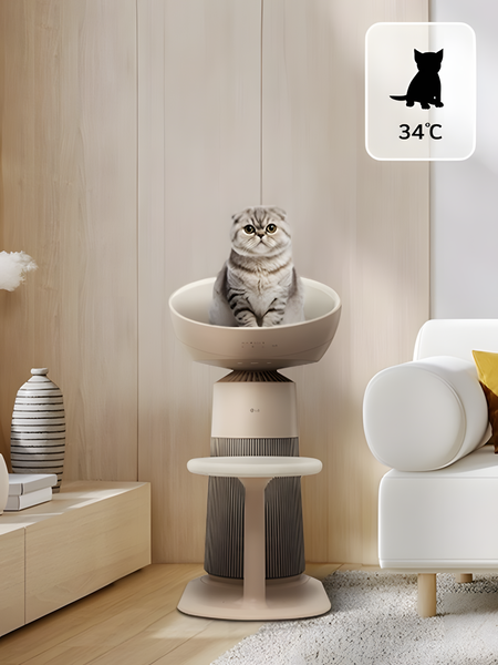 Michipurificador2 Upscayl 2x Upscayl Standard 4x