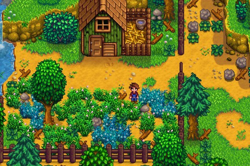 stardew valley