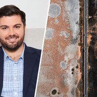 Michael Rubino, experto en calidad del aire: “El moho puede crecer con una humedad relativa del 60 %” 