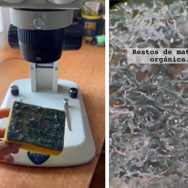 El biólogo Dani Prieto revela lo que esconde el estropajo bajo el microscopio: "Cámbialo y lávalo cada cierto tiempo" 