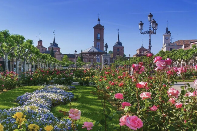 Alcalá de Henares