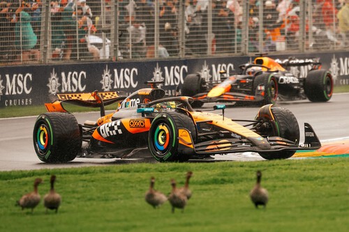 Lando Norris aguanta a Max Verstappen en el caos de Australia y Fernando Alonso y Carlos Sainz se estrellan bajo la lluvia