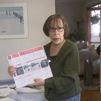 Una abuela casi ciega recibe 16.000 dólares en multas. Estafadores estaban vendiendo su matrícula en Amazon para evitar los peajes de Nueva York