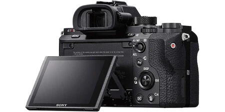 Sony Alpha 7 R Mark Ii 2