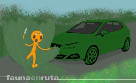 fauna en ruta: Adaptación al medio