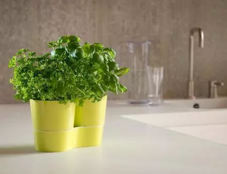 Regálate un maceto huerto en la cocina, Rosti Mepal te lo pone fácil