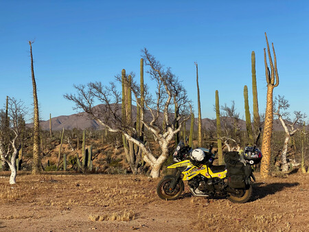 Suzuki Record 4 2024