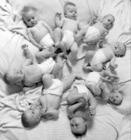 Nacieron octillizos en California