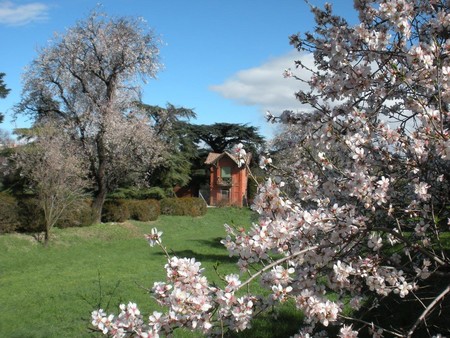 Quinta De Torre Arias