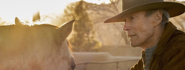 En 1995, Clint Eastwood compró un rancho de 54 hectáreas en California que años después donó para crear una reserva natural y ayudar a prevenir inundaciones 
