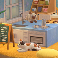 Cómo conseguir el gatito de peluche en Animal Crossing: New Horizons 