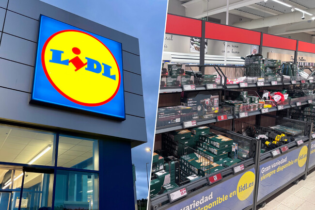Lidl Regletas Solucion