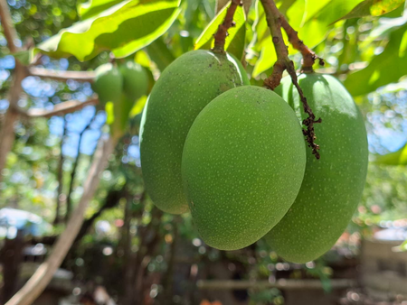 Crédito de imagem: Xataka Brasil