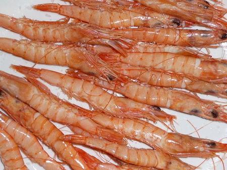 640px-gamba_blanca_01.jpg
