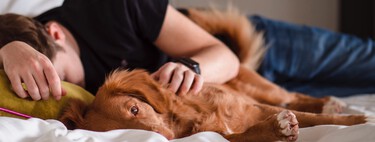 Cinco recursos infalibles para controlar el insomnio y dormir mejor 