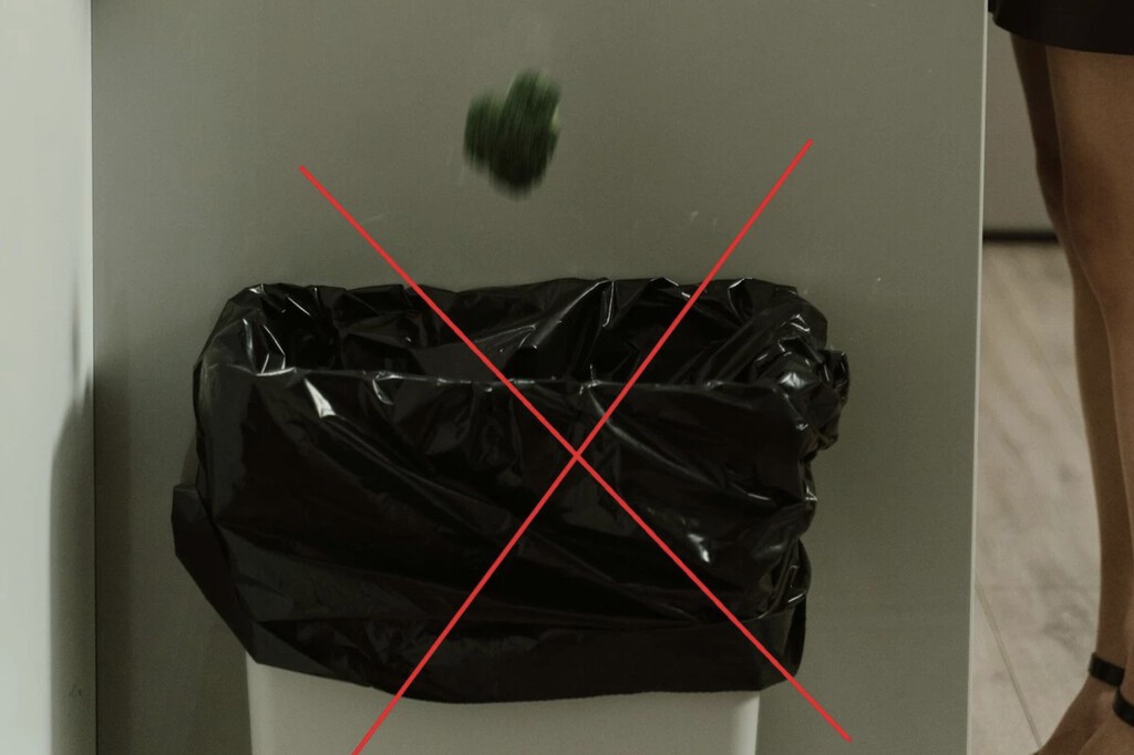 Llevamos años sin usar bien el cubo de la basura. Este es el truco para hacer que no huela mal