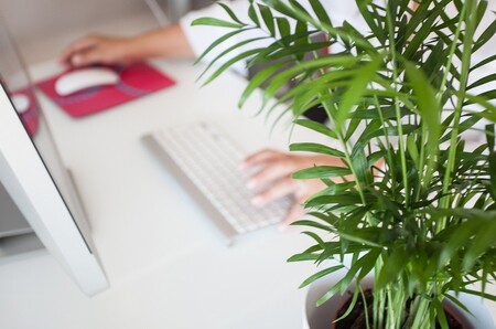La gran deslocalización del trabajo: así ha cambiado la búsqueda de empleo con la pandemia de la covid-19