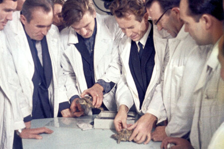 Cientistas com tartarugas nas mãos