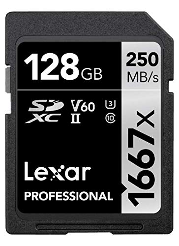 Lexar Professional 1667x