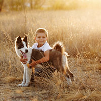 Es época de garrapatas y su picadura podría llegar a ser grave: cómo prevenir y tratar la mordedura de este parásito