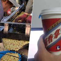 Ya sabemos quién se va a beber todo el café que Brasil no va a exportar a EEUU por los aranceles: China 