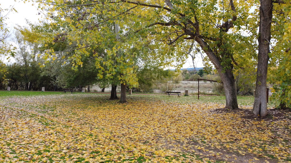 Foto de Fotografía (4/21)