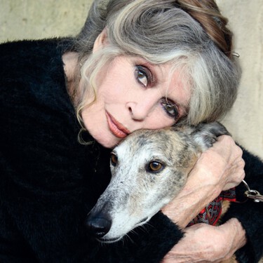 Brigitte Bardot no murió en 1960, aunque lo parezca: la razón sexista por la que hoy solo ves fotos de ella con 20 años 