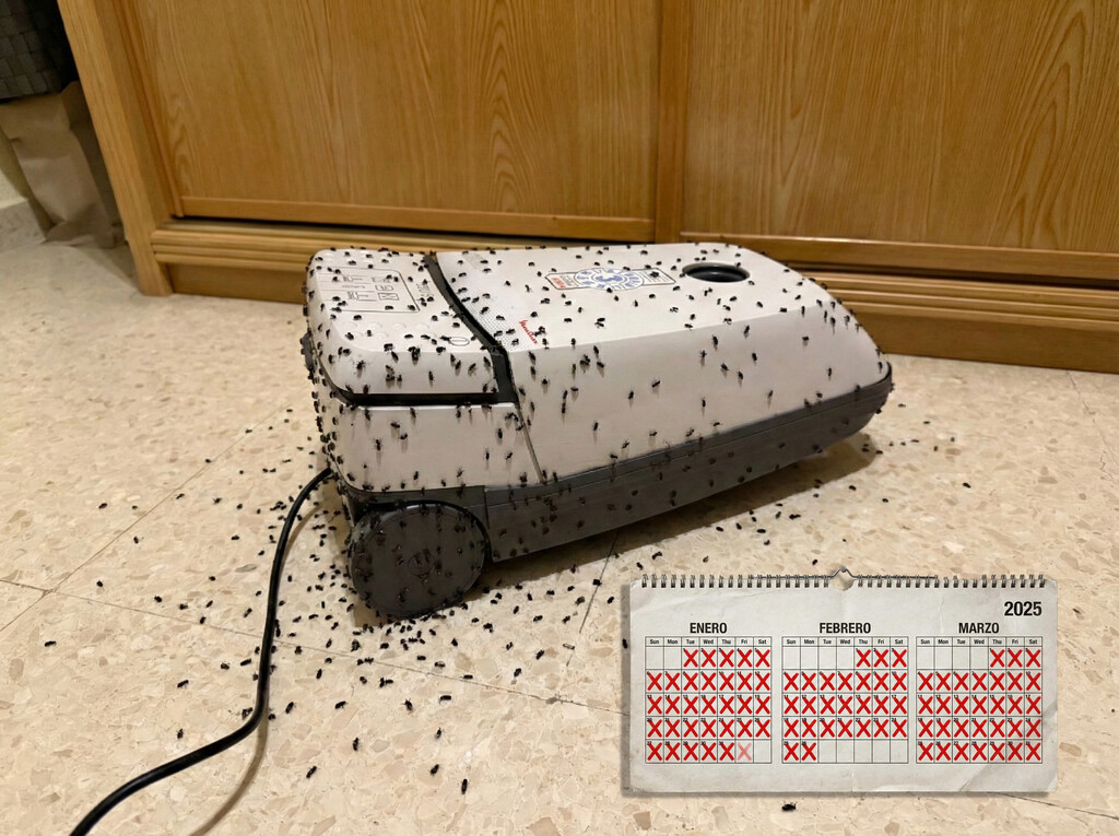 Mis padres se encontraron su aspirador lleno de "bichos negros": ahora no pierden de vista la bolsa 