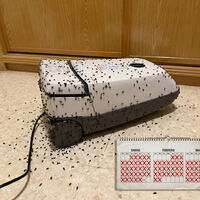 Mis padres se encontraron su aspirador lleno de "bichos negros": ahora no pierden de vista la bolsa 